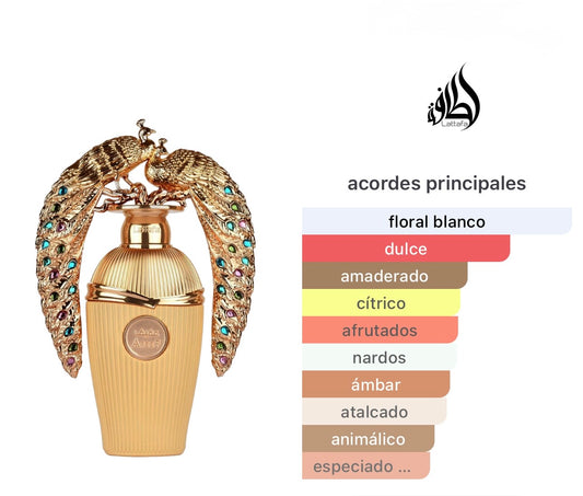 Afeef Lattafa